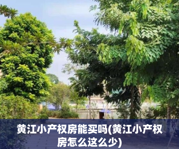 黄江小产权房能买吗(黄江小产权房怎么这么少)