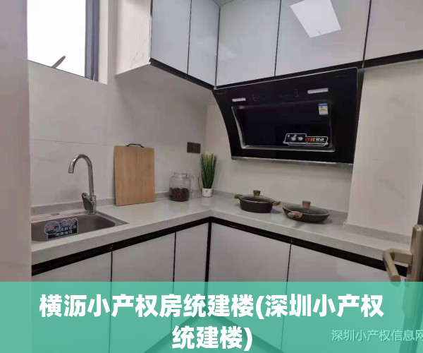 横沥小产权房统建楼(深圳小产权统建楼)