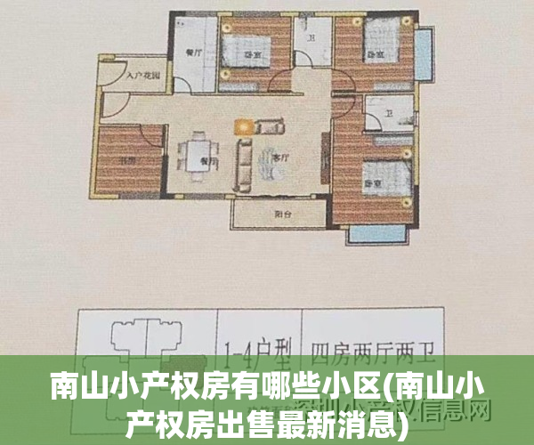 南山小产权房有哪些小区(南山小产权房出售最新消息)