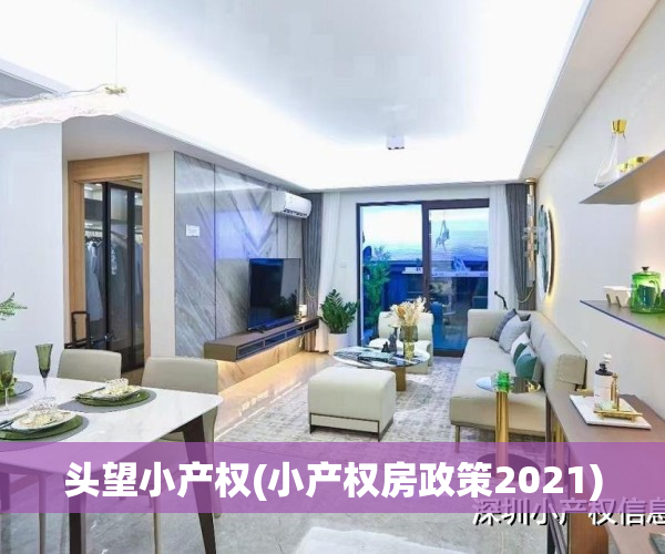头望小产权(小产权房政策2021)