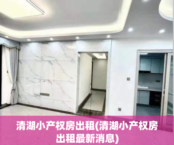 清湖小产权房出租(清湖小产权房出租最新消息)