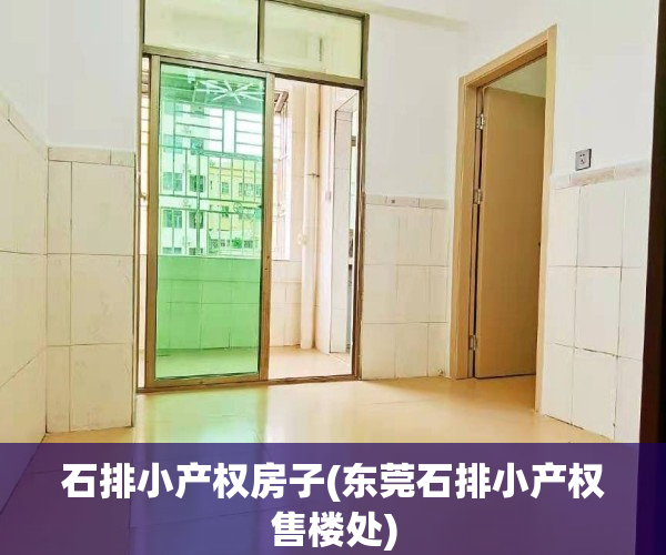 石排小产权房子(东莞石排小产权售楼处)