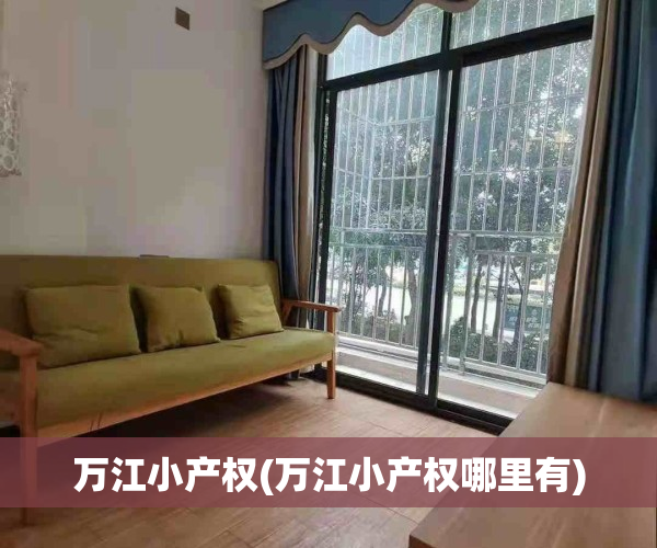 万江小产权(万江小产权哪里有)