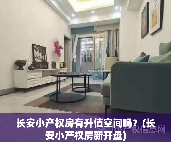 长安小产权房有升值空间吗?(长安小产权房新开盘)