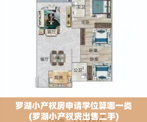 罗湖小产权房申请学位算哪一类(罗湖小产权房出售二手)