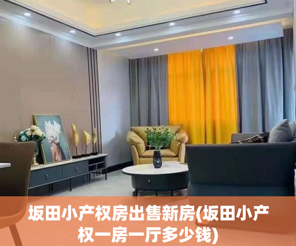 坂田小产权房出售新房(坂田小产权一房一厅多少钱)
