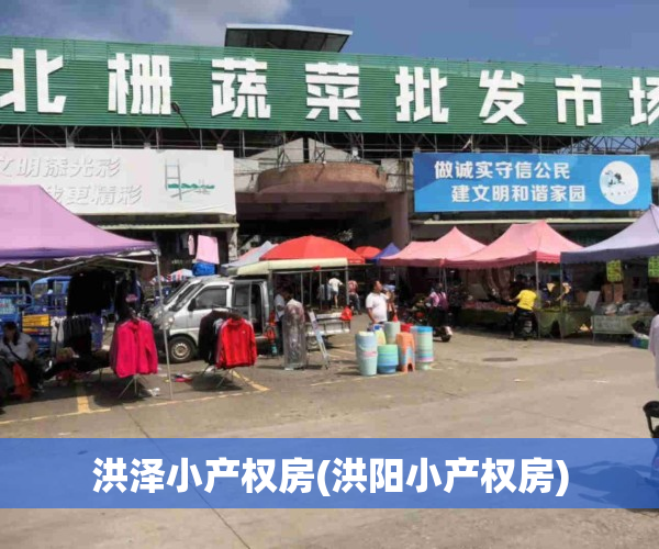 洪泽小产权房(洪阳小产权房)