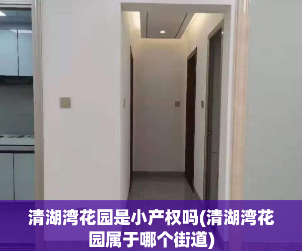 清湖湾花园是小产权吗(清湖湾花园属于哪个街道)