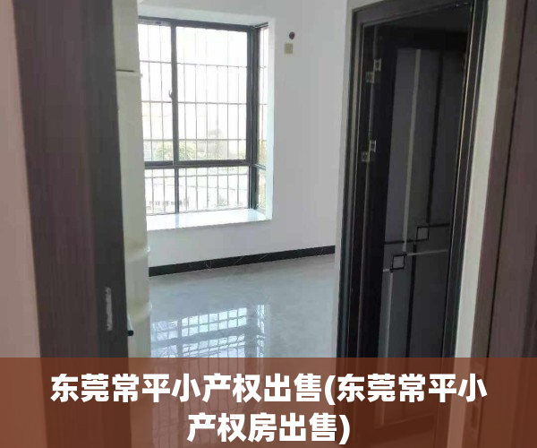 东莞常平小产权出售(东莞常平小产权房出售)
