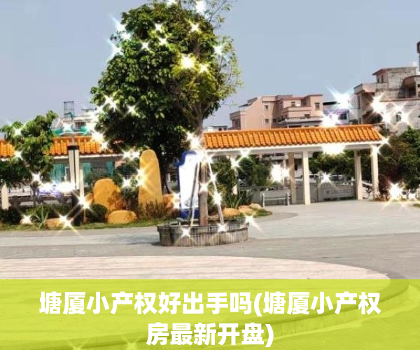 塘厦小产权好出手吗(塘厦小产权房最新开盘)