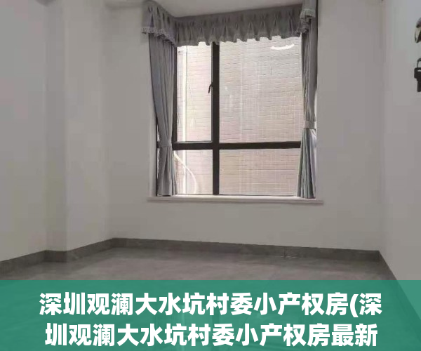 深圳观澜大水坑村委小产权房(深圳观澜大水坑村委小产权房最新)