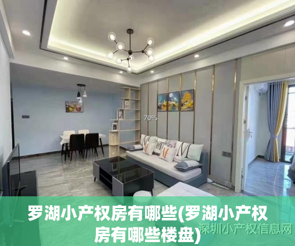 罗湖小产权房有哪些(罗湖小产权房有哪些楼盘)
