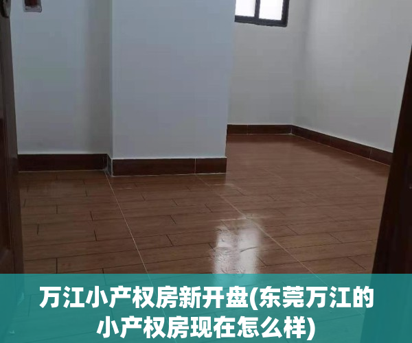 万江小产权房新开盘(东莞万江的小产权房现在怎么样)