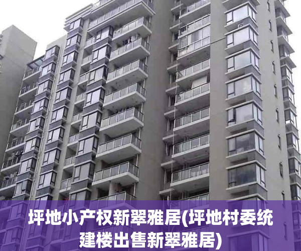 坪地小产权新翠雅居(坪地村委统建楼出售新翠雅居)
