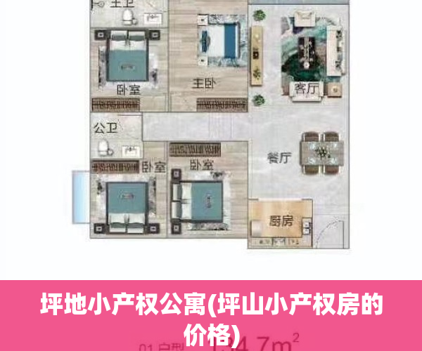 坪地小产权公寓(坪山小产权房的价格)