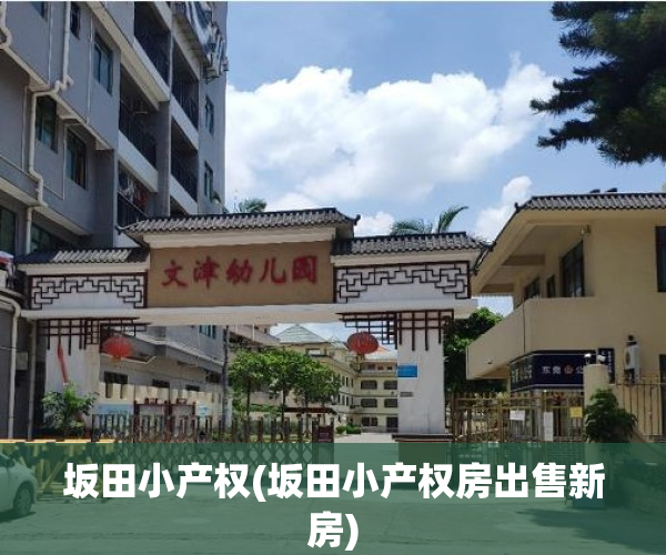 坂田小产权(坂田小产权房出售新房)