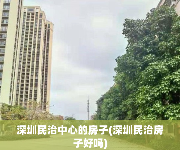 深圳民治中心的房子(深圳民治房子好吗)