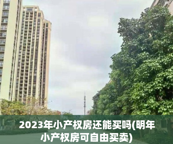 2023年小产权房还能买吗(明年小产权房可自由买卖)