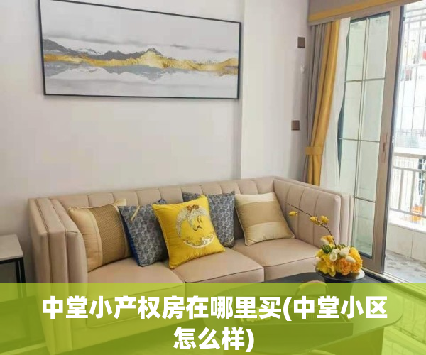 中堂小产权房在哪里买(中堂小区怎么样)