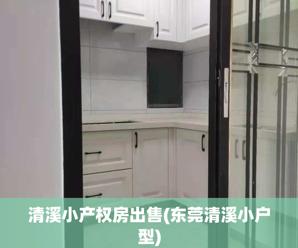 清溪小产权房出售(东莞清溪小户型)