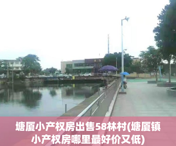 塘厦小产权房出售58林村(塘厦镇小产权房哪里最好价又低)