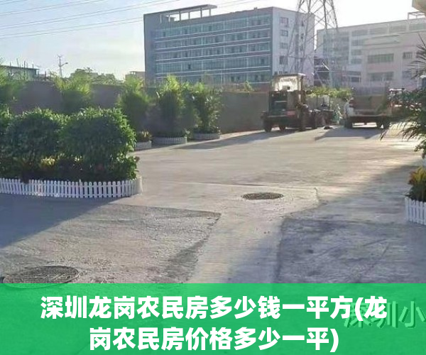 深圳龙岗农民房多少钱一平方(龙岗农民房价格多少一平)