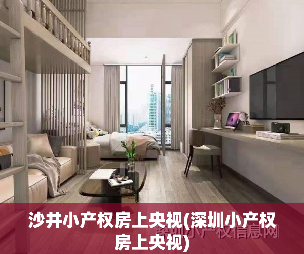 沙井小产权房上央视(深圳小产权房上央视)