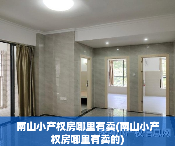 南山小产权房哪里有卖(南山小产权房哪里有卖的)