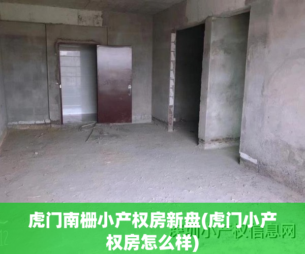 虎门南栅小产权房新盘(虎门小产权房怎么样)