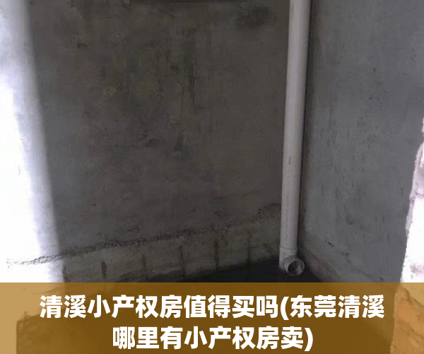 清溪小产权房值得买吗(东莞清溪哪里有小产权房卖)