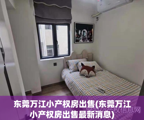 东莞万江小产权房出售(东莞万江小产权房出售最新消息)