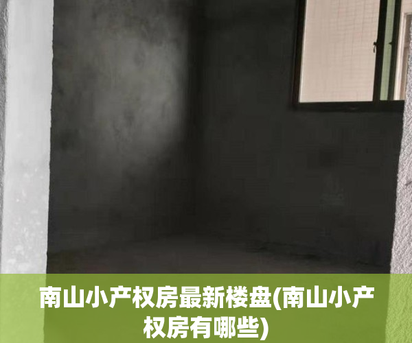 南山小产权房最新楼盘(南山小产权房有哪些)