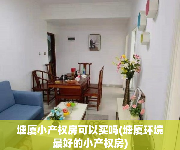 塘厦小产权房可以买吗(塘厦环境最好的小产权房)