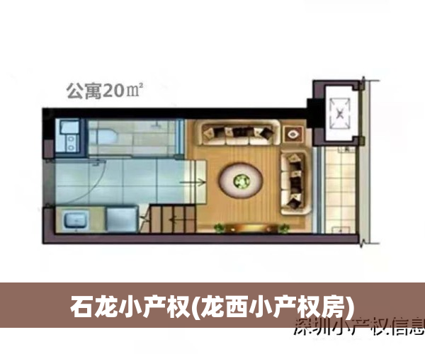 石龙小产权(龙西小产权房)
