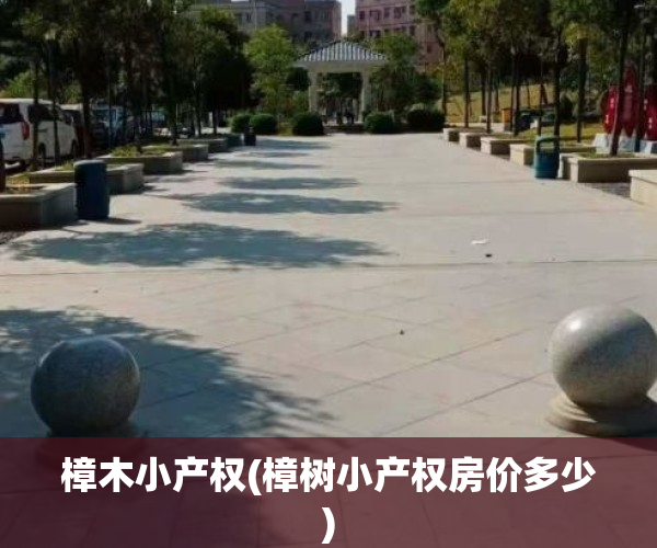 樟木小产权(樟树小产权房价多少)