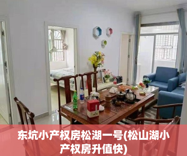 东坑小产权房松湖一号(松山湖小产权房升值快)