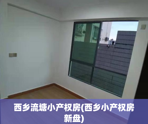 西乡流塘小产权房(西乡小产权房新盘)
