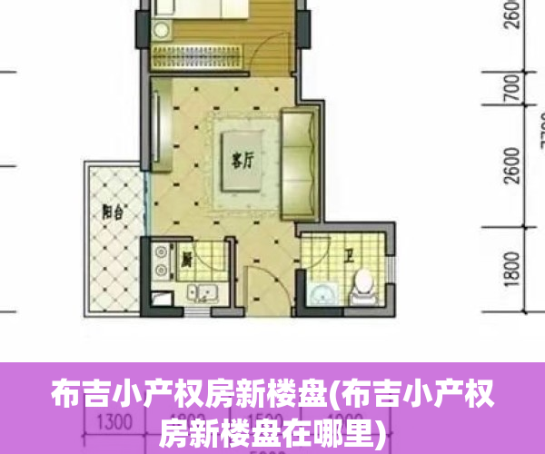 布吉小产权房新楼盘(布吉小产权房新楼盘在哪里)