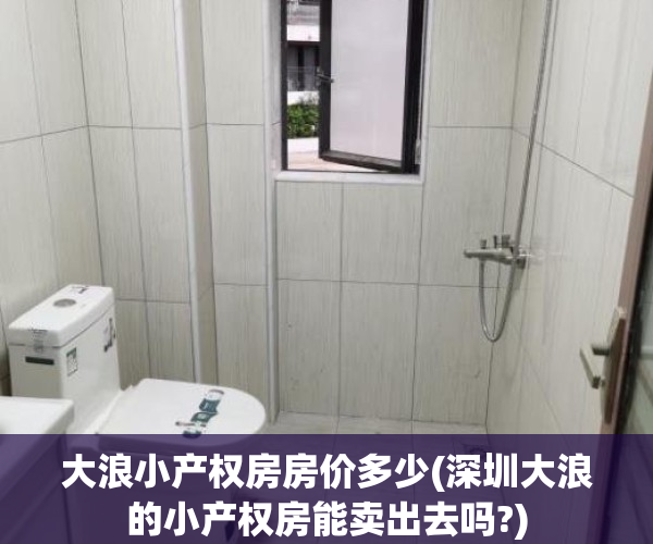 大浪小产权房房价多少(深圳大浪的小产权房能卖出去吗?)
