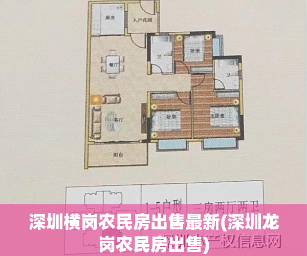 深圳横岗农民房出售最新(深圳龙岗农民房出售)