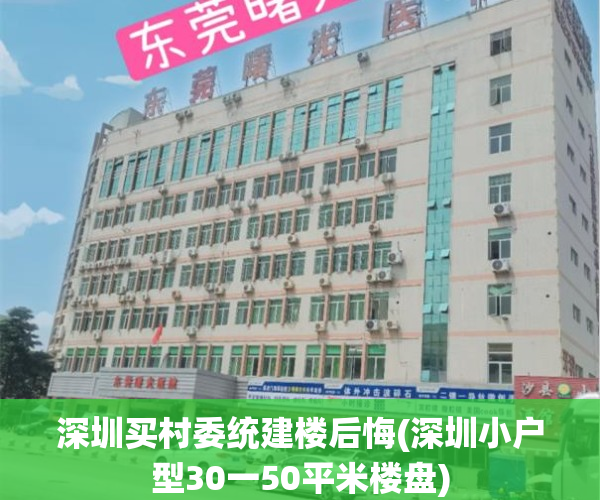 深圳买村委统建楼后悔(深圳小户型30一50平米楼盘)