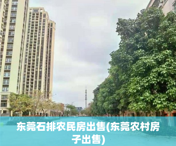 东莞石排农民房出售(东莞农村房子出售)