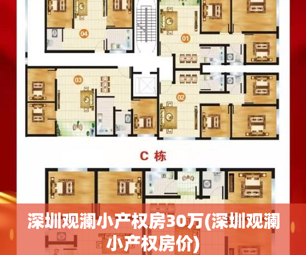 深圳观澜小产权房30万(深圳观澜小产权房价)
