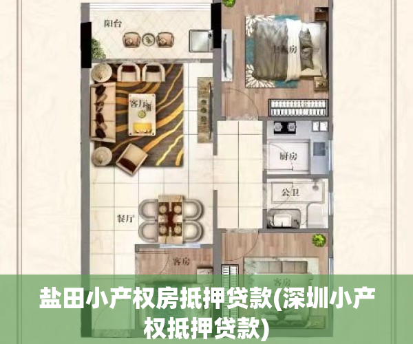 盐田小产权房抵押贷款(深圳小产权抵押贷款)
