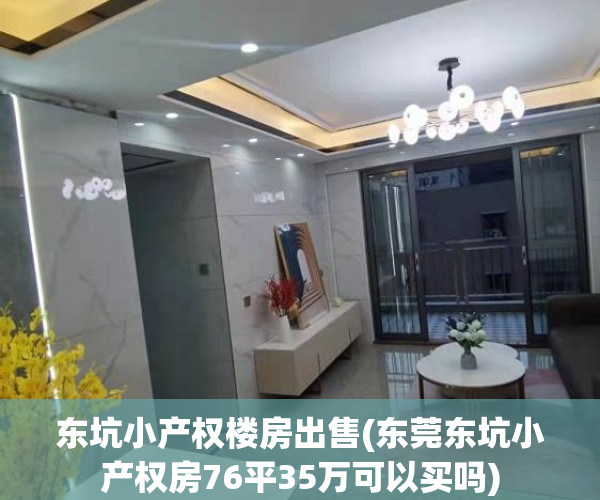 东坑小产权楼房出售(东莞东坑小产权房76平35万可以买吗)