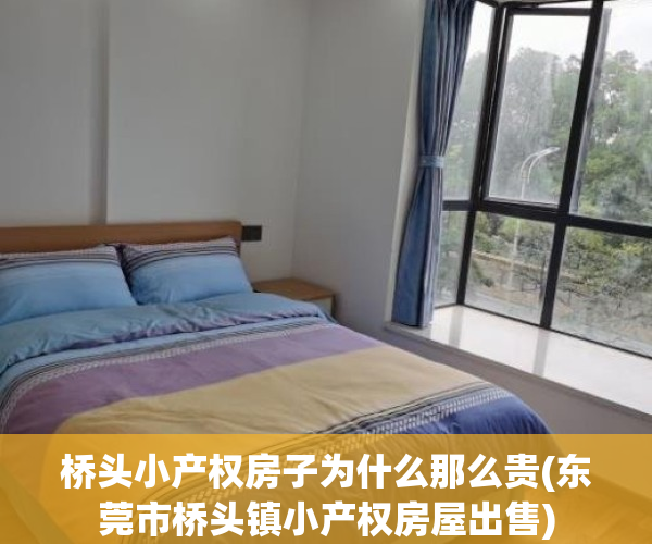 桥头小产权房子为什么那么贵(东莞市桥头镇小产权房屋出售)