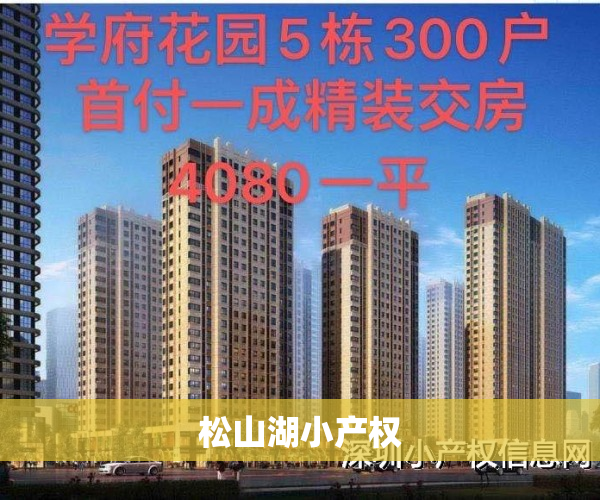 松山湖小产权