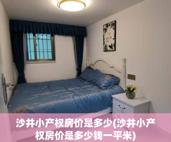 沙井小产权房价是多少(沙井小产权房价是多少钱一平米)