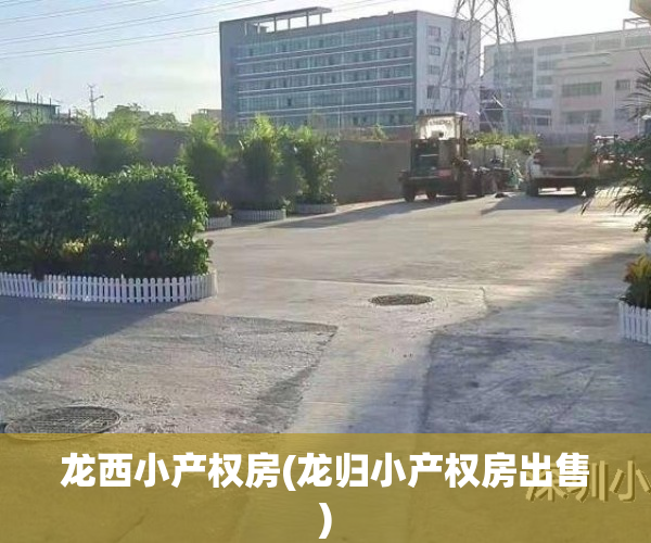 龙西小产权房(龙归小产权房出售)