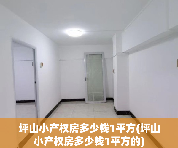 坪山小产权房多少钱1平方(坪山小产权房多少钱1平方的)